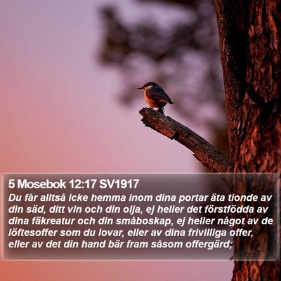 5 Mosebok 12:17 SV1917 Bible Verse Image