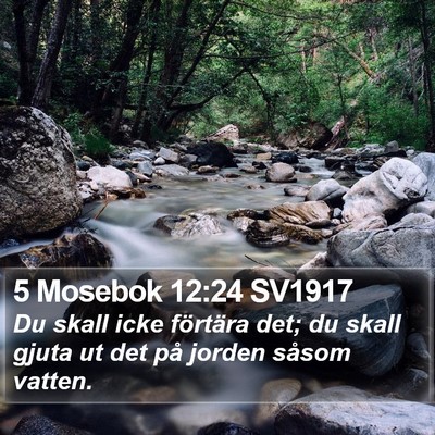 5 Mosebok 12:24 SV1917 Bible Verse Image