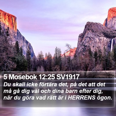 5 Mosebok 12:25 SV1917 Bible Verse Image