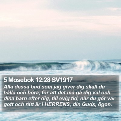 5 Mosebok 12:28 SV1917 Bible Verse Image
