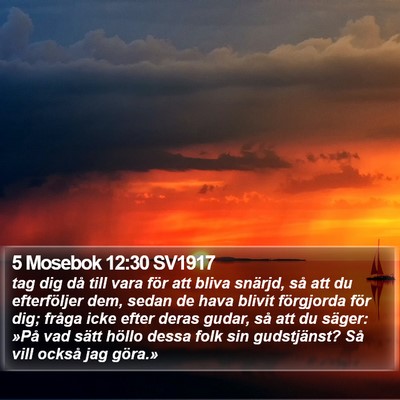 5 Mosebok 12:30 SV1917 Bible Verse Image