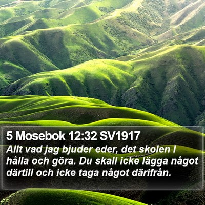 5 Mosebok 12:32 SV1917 Bible Verse Image