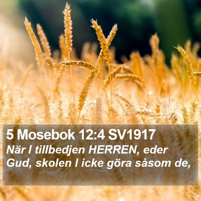 5 Mosebok 12:4 SV1917 Bible Verse Image