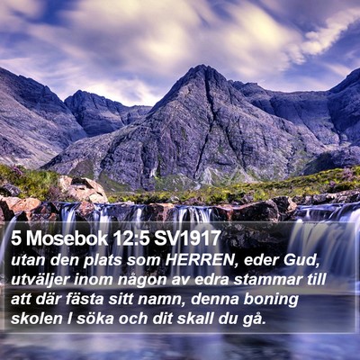 5 Mosebok 12:5 SV1917 Bible Verse Image