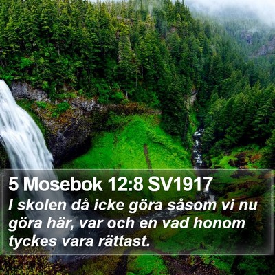 5 Mosebok 12:8 SV1917 Bible Verse Image