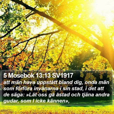 5 Mosebok 13:13 SV1917 Bible Verse Image