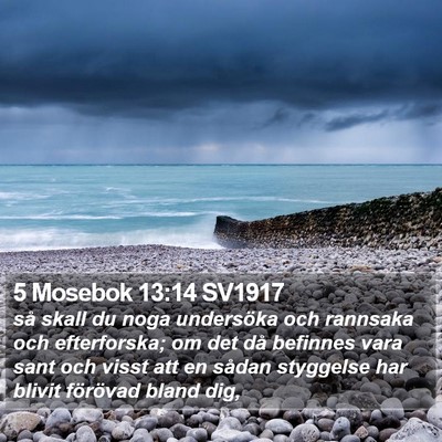 5 Mosebok 13:14 SV1917 Bible Verse Image