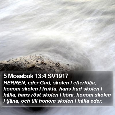 5 Mosebok 13:4 SV1917 Bible Verse Image
