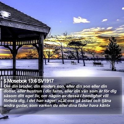 5 Mosebok 13:6 SV1917 Bible Verse Image