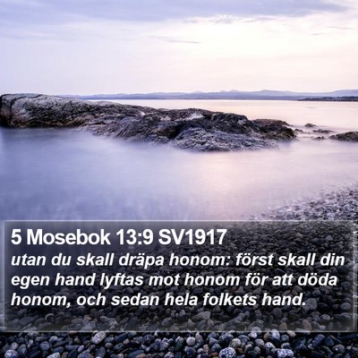 5 Mosebok 13:9 SV1917 Bible Verse Image