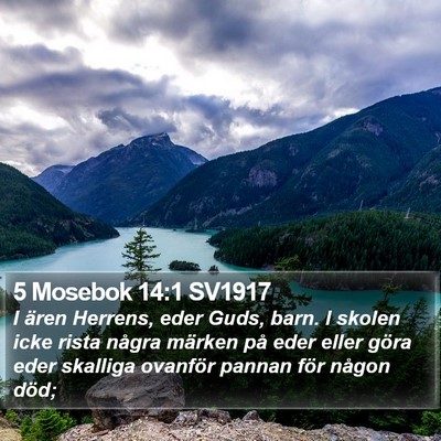 5 Mosebok 14:1 SV1917 Bible Verse Image