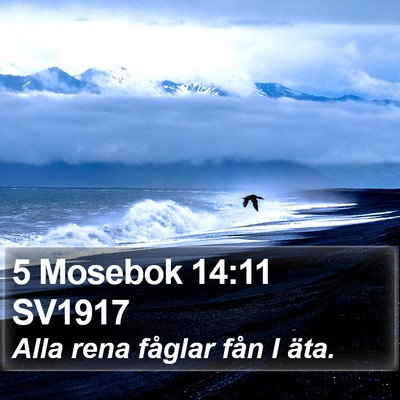 5 Mosebok 14:11 SV1917 Bible Verse Image