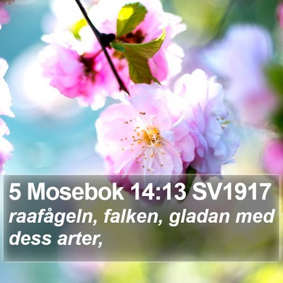 5 Mosebok 14:13 SV1917 Bible Verse Image
