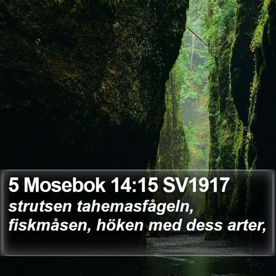 5 Mosebok 14:15 SV1917 Bible Verse Image