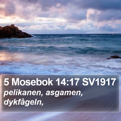 5 Mosebok 14:17 SV1917 Bible Verse Image