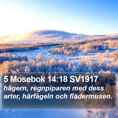 5 Mosebok 14:18 SV1917 Bible Verse Image