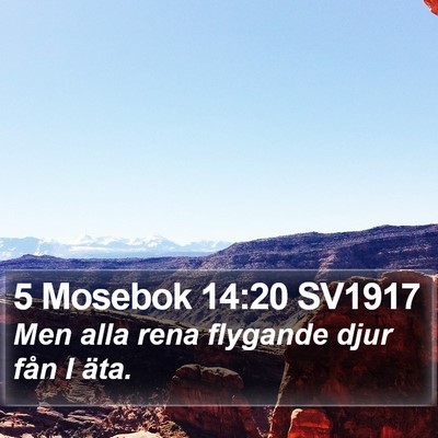 5 Mosebok 14:20 SV1917 Bible Verse Image