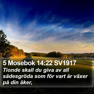 5 Mosebok 14:22 SV1917 Bible Verse Image