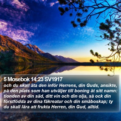 5 Mosebok 14:23 SV1917 Bible Verse Image