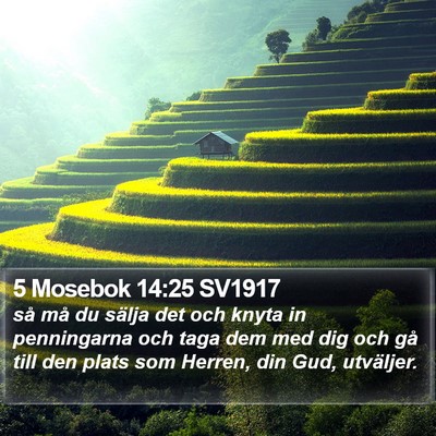5 Mosebok 14:25 SV1917 Bible Verse Image