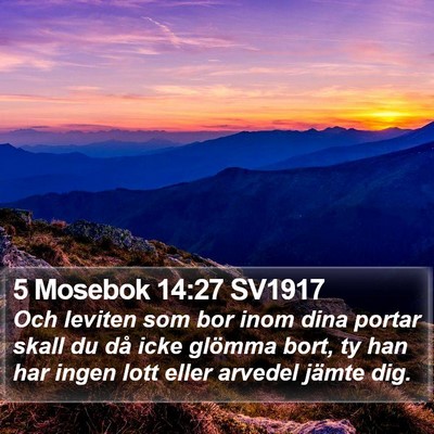 5 Mosebok 14:27 SV1917 Bible Verse Image