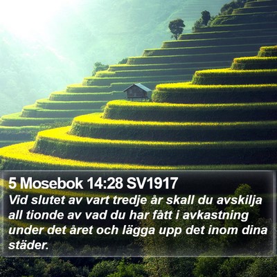 5 Mosebok 14:28 SV1917 Bible Verse Image