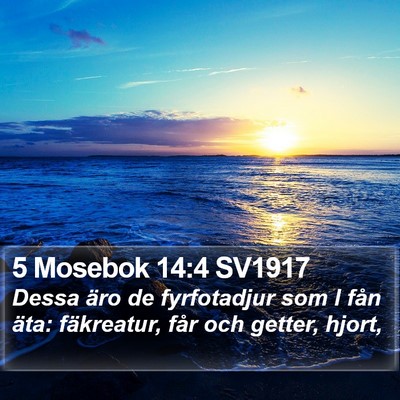 5 Mosebok 14:4 SV1917 Bible Verse Image
