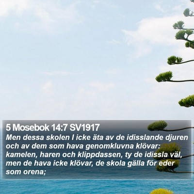 5 Mosebok 14:7 SV1917 Bible Verse Image