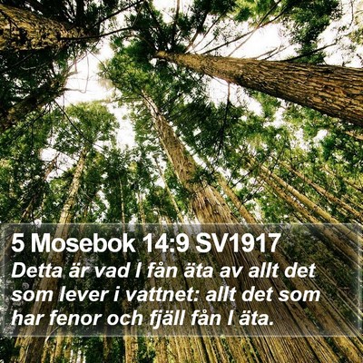 5 Mosebok 14:9 SV1917 Bible Verse Image