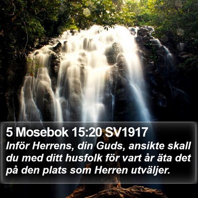 5 Mosebok 15:20 SV1917 Bible Verse Image