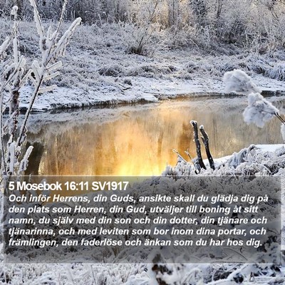 5 Mosebok 16:11 SV1917 Bible Verse Image