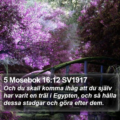 5 Mosebok 16:12 SV1917 Bible Verse Image