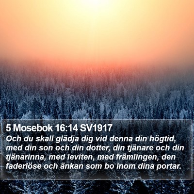 5 Mosebok 16:14 SV1917 Bible Verse Image
