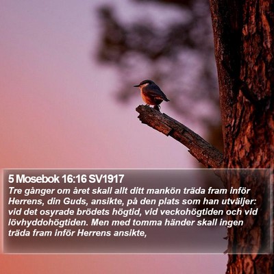5 Mosebok 16:16 SV1917 Bible Verse Image