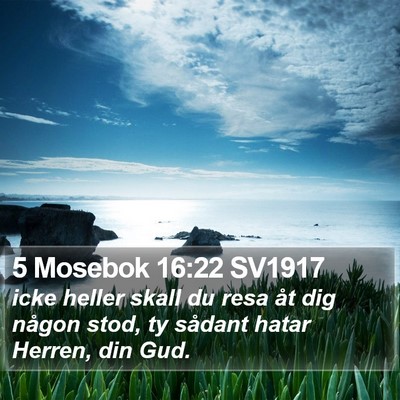 5 Mosebok 16:22 SV1917 Bible Verse Image