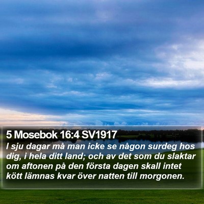 5 Mosebok 16:4 SV1917 Bible Verse Image