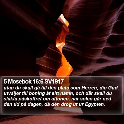 5 Mosebok 16:6 SV1917 Bible Verse Image