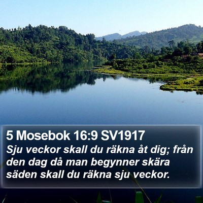 5 Mosebok 16:9 SV1917 Bible Verse Image
