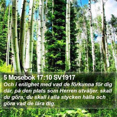 5 Mosebok 17:10 SV1917 Bible Verse Image