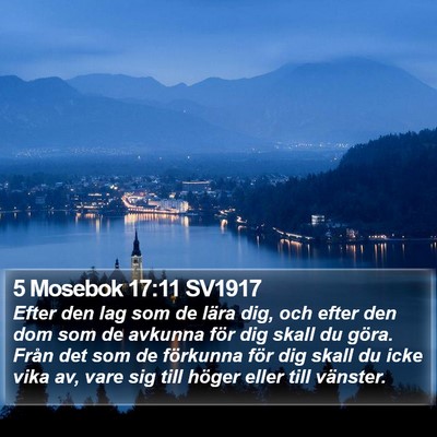 5 Mosebok 17:11 SV1917 Bible Verse Image