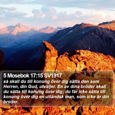 5 Mosebok 17:15 SV1917 Bible Verse Image
