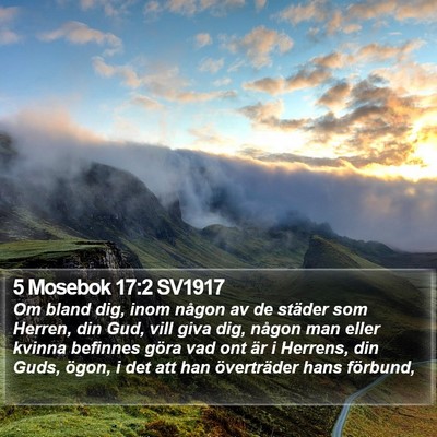 5 Mosebok 17:2 SV1917 Bible Verse Image