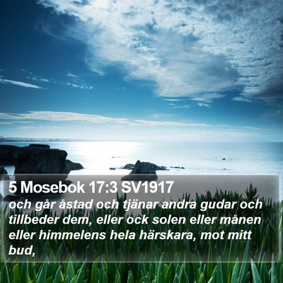 5 Mosebok 17:3 SV1917 Bible Verse Image