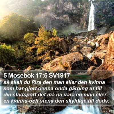 5 Mosebok 17:5 SV1917 Bible Verse Image