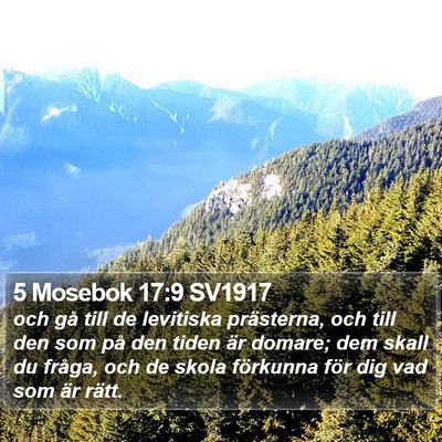 5 Mosebok 17:9 SV1917 Bible Verse Image