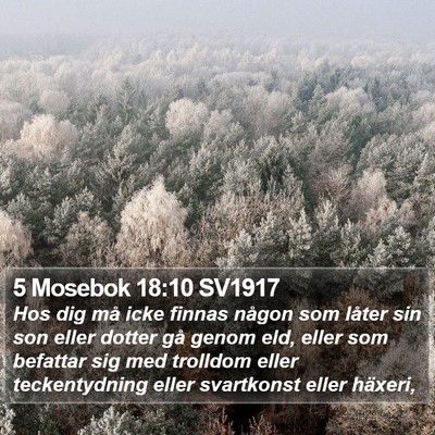 5 Mosebok 18:10 SV1917 Bible Verse Image