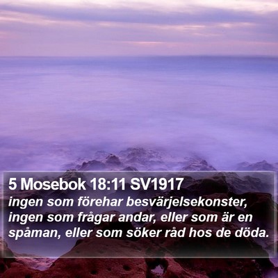 5 Mosebok 18:11 SV1917 Bible Verse Image