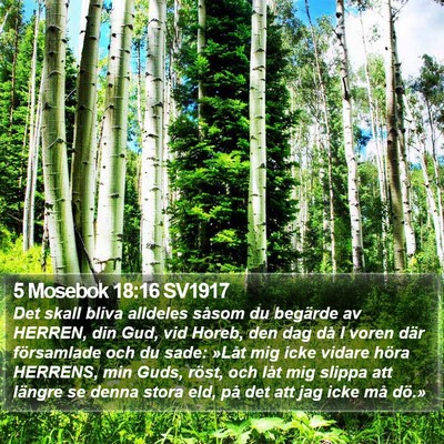 5 Mosebok 18:16 SV1917 Bible Verse Image