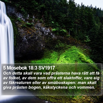 5 Mosebok 18:3 SV1917 Bible Verse Image