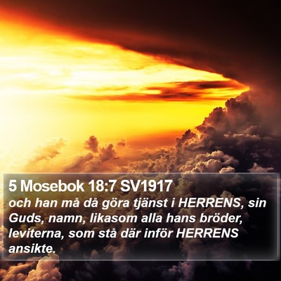 5 Mosebok 18:7 SV1917 Bible Verse Image